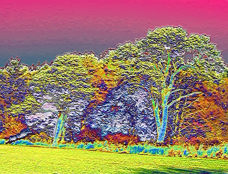 Molten Trees.
