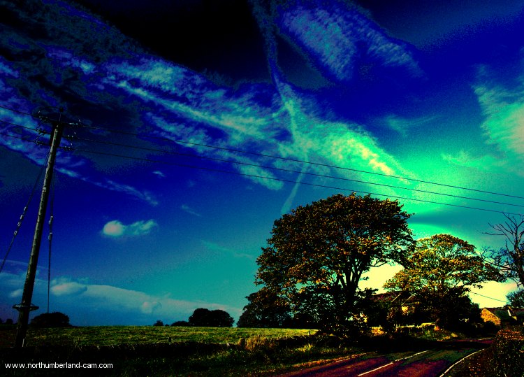 Swirling Sky