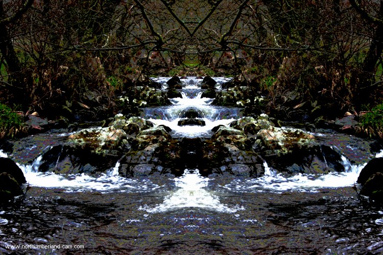 Double Vision