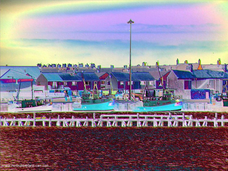 The Harbour
