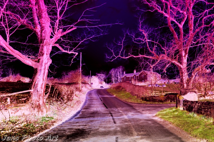 The Lane