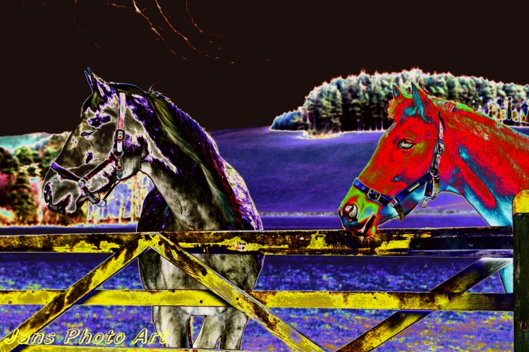 At The Gate