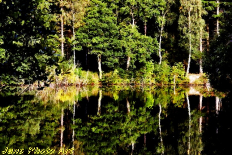 Woodland Lake