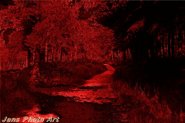 The Red Trees