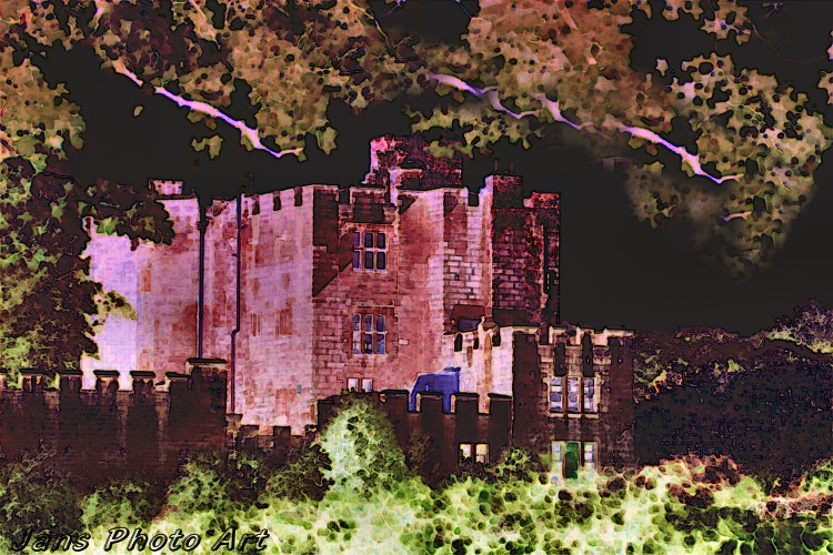 Castle Bats