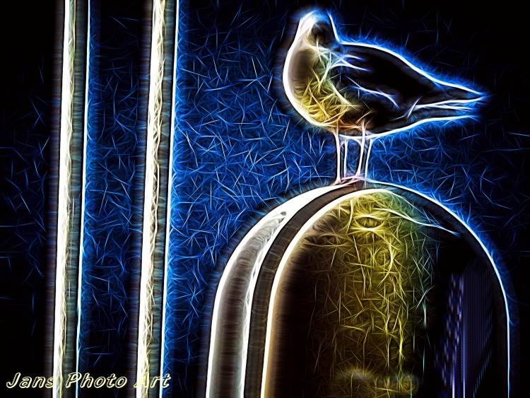 Bird on a Dome
