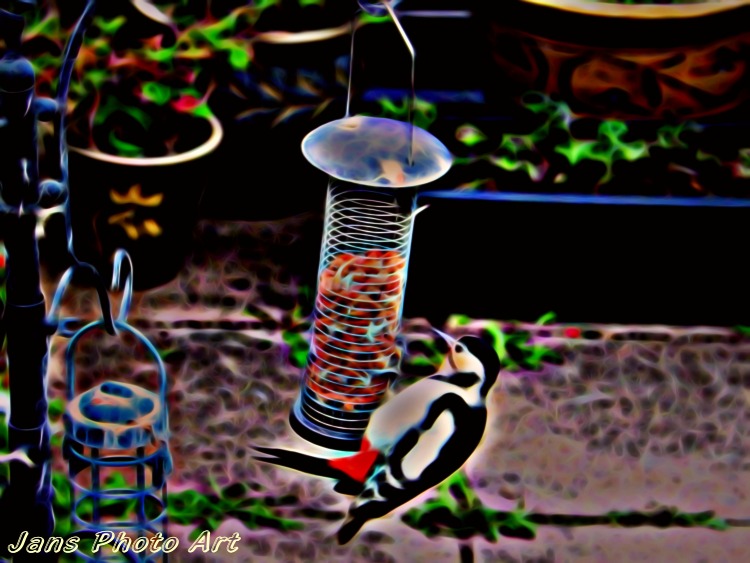 Woodpecker
