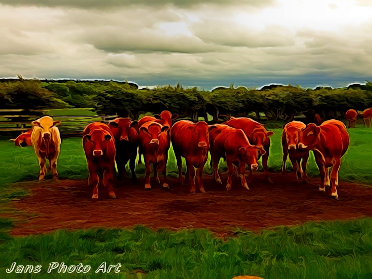The Herd 2