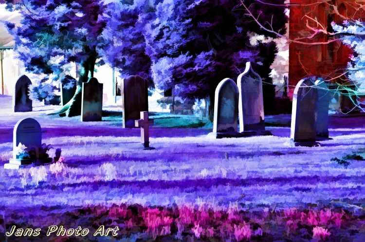 Shades of Lavender