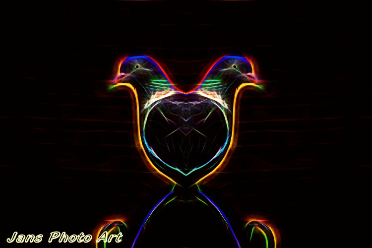 Cat - Pidgeon