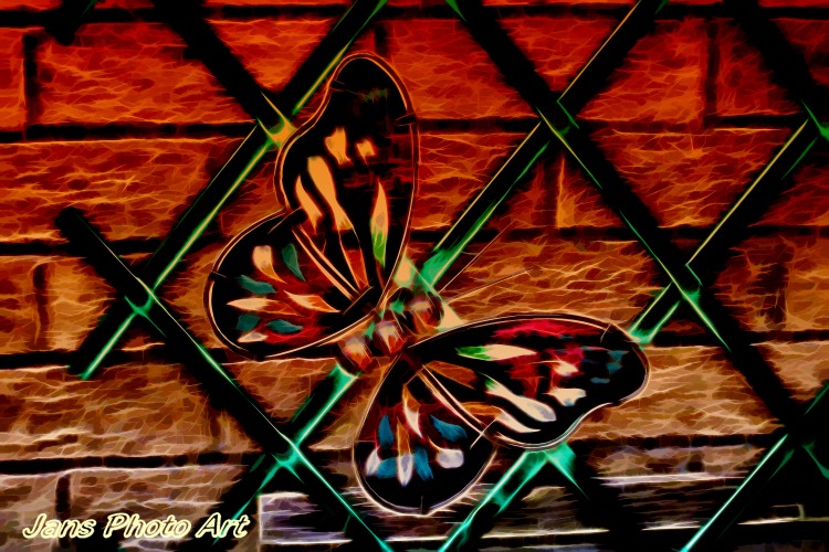 Golden Butterfly