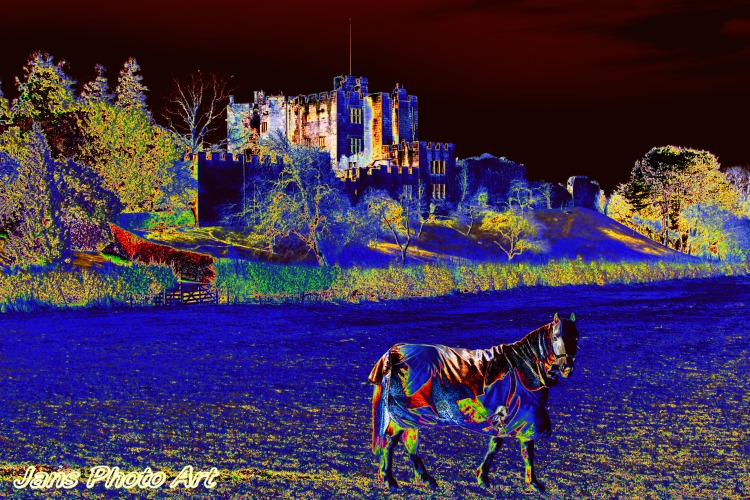 Horse And Castle